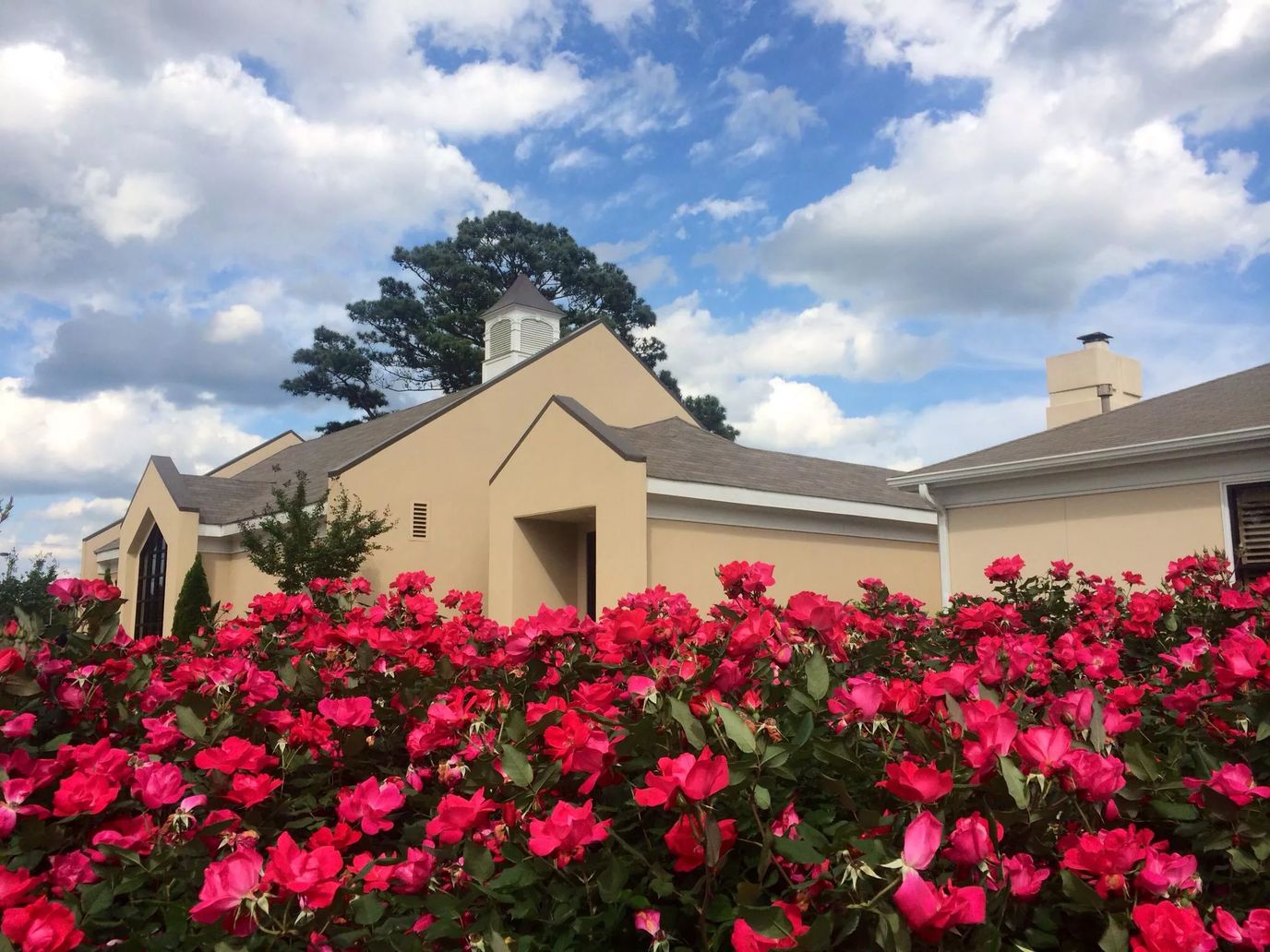 Building exterior surrounded by blooming flowers