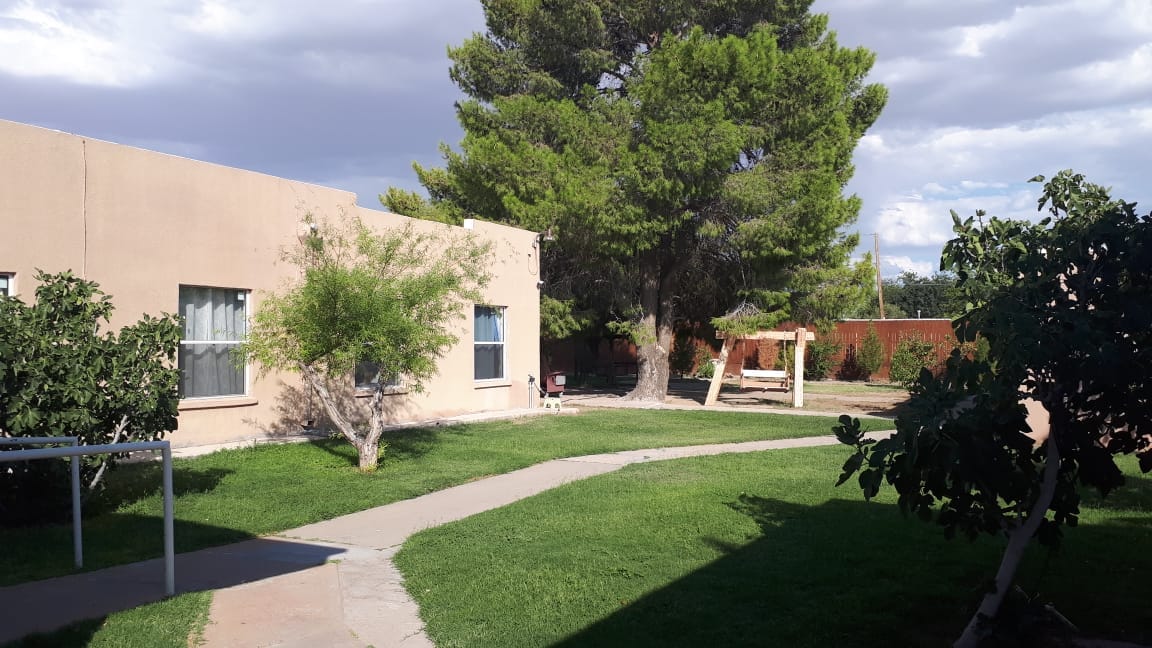 Outdoor area with trees and pathways at the facility