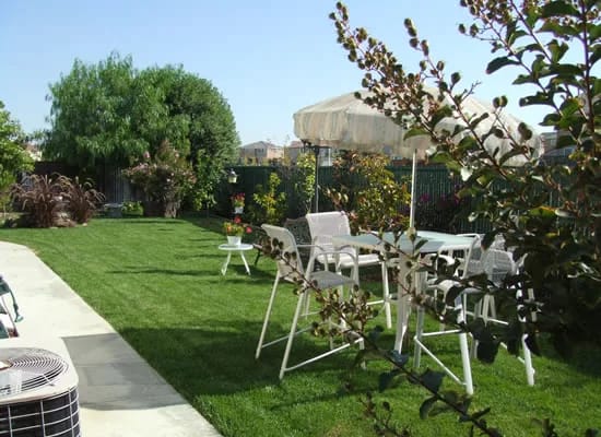 A serene outdoor garden area with seating