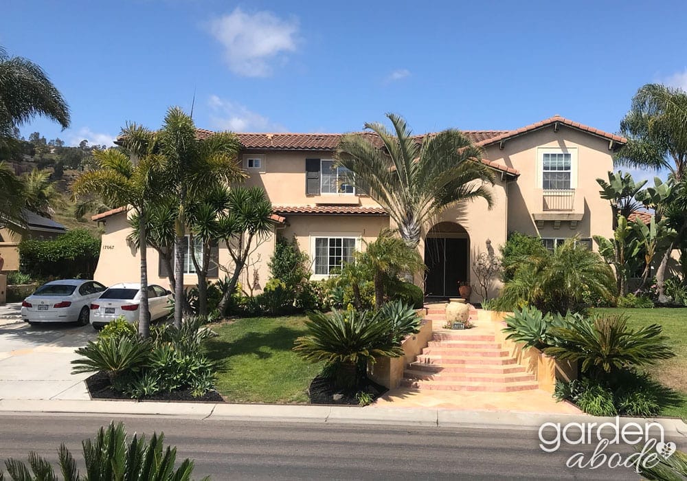 Exterior view of Garden Abode building with palm trees