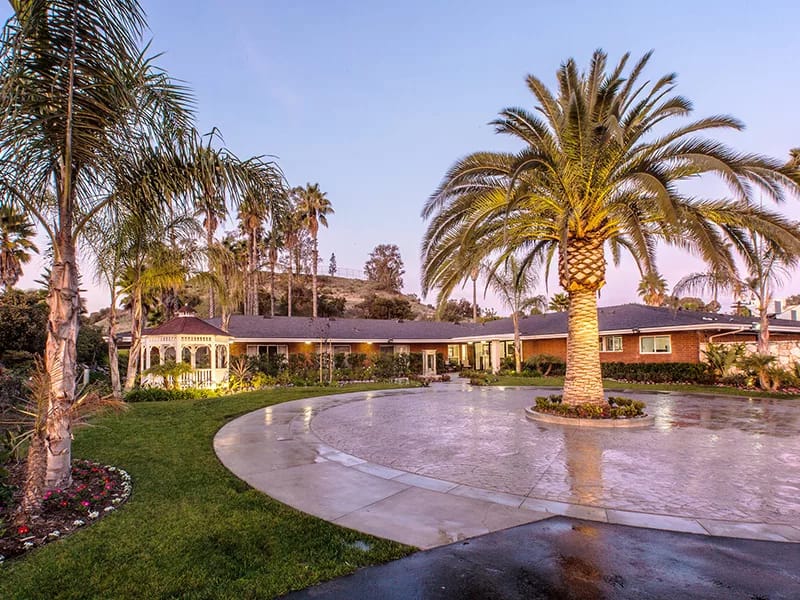 Outdoor view of University Care Center with palm trees