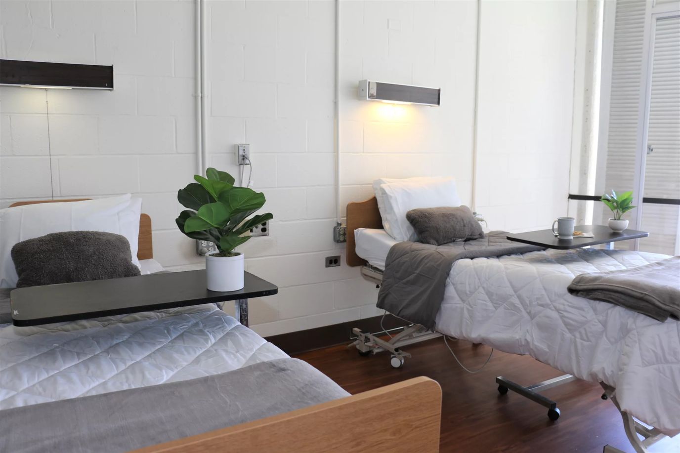 Two resident beds in a well-lit room with plants