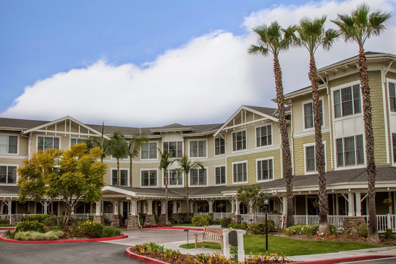 Exterior view of Ivy Park at Seal Beach with palm trees.