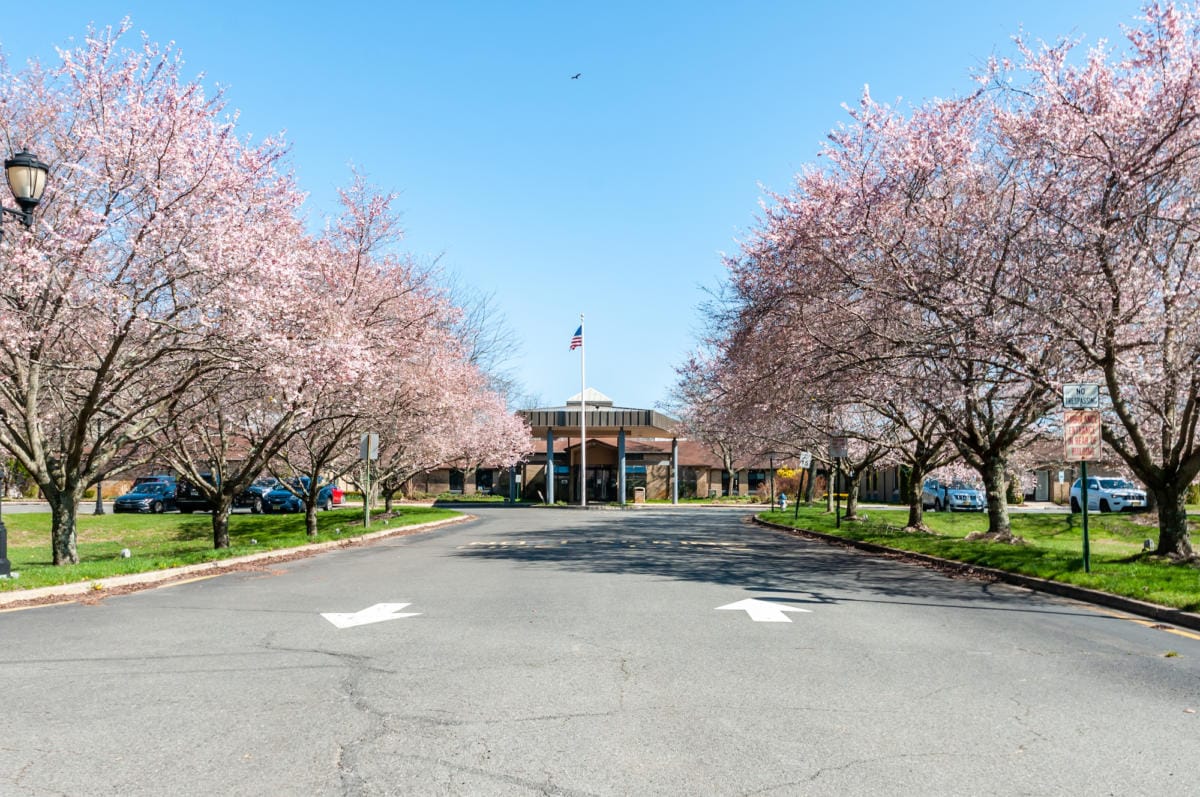 Exterior view of Bartley Healthcare with cherry blossom trees