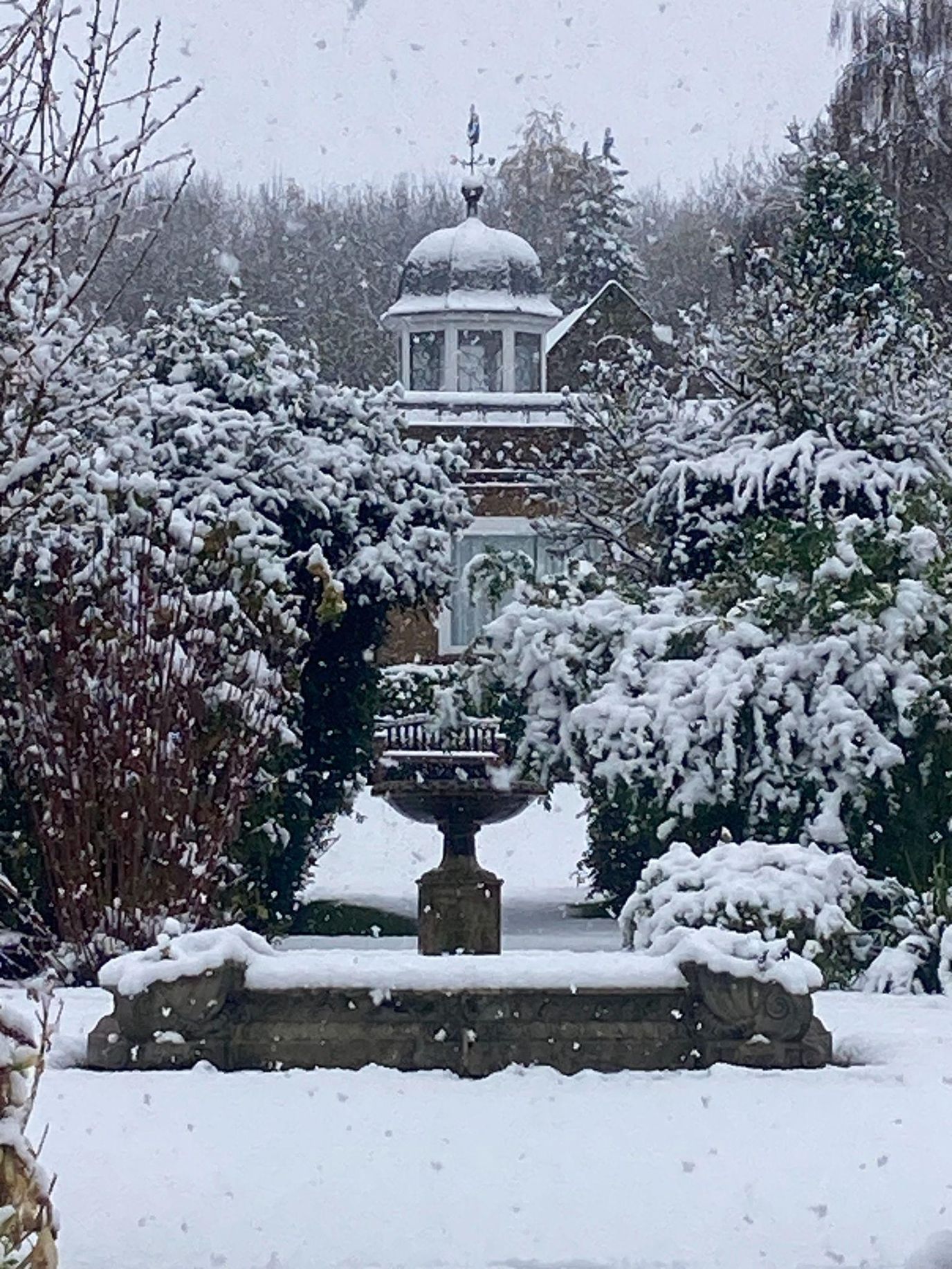 Snow-covered garden with a building in the background