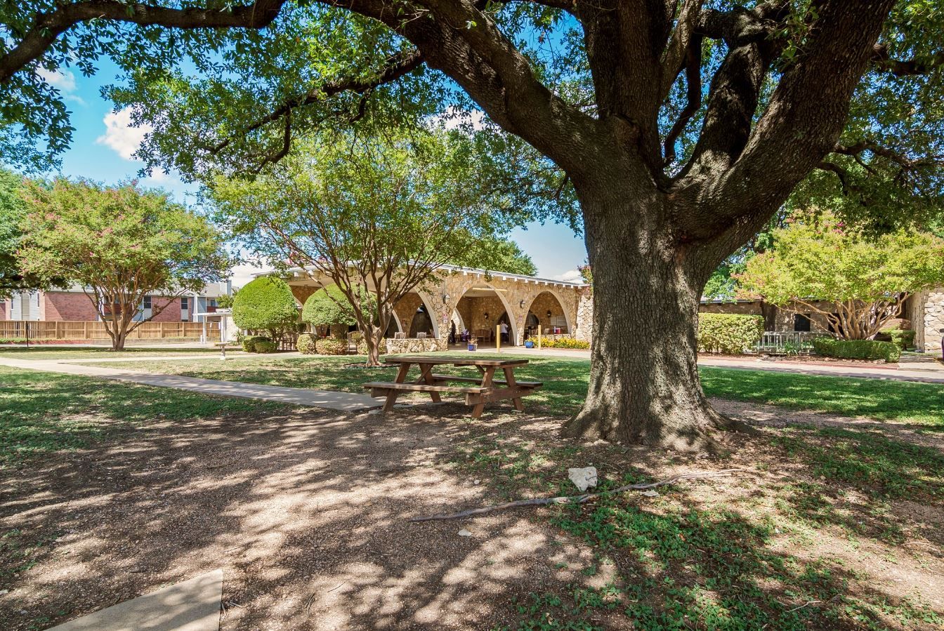 Scenic view of an outdoor space with trees and tables