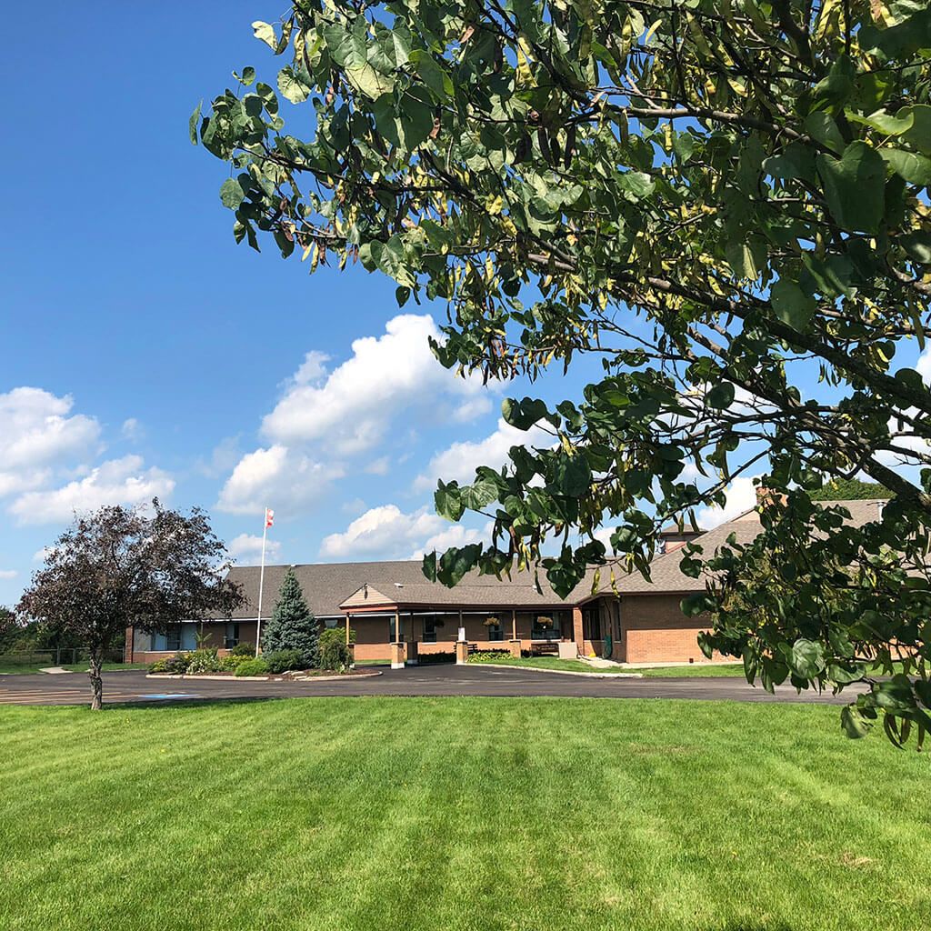 Exterior view of James Beattie House with trees.