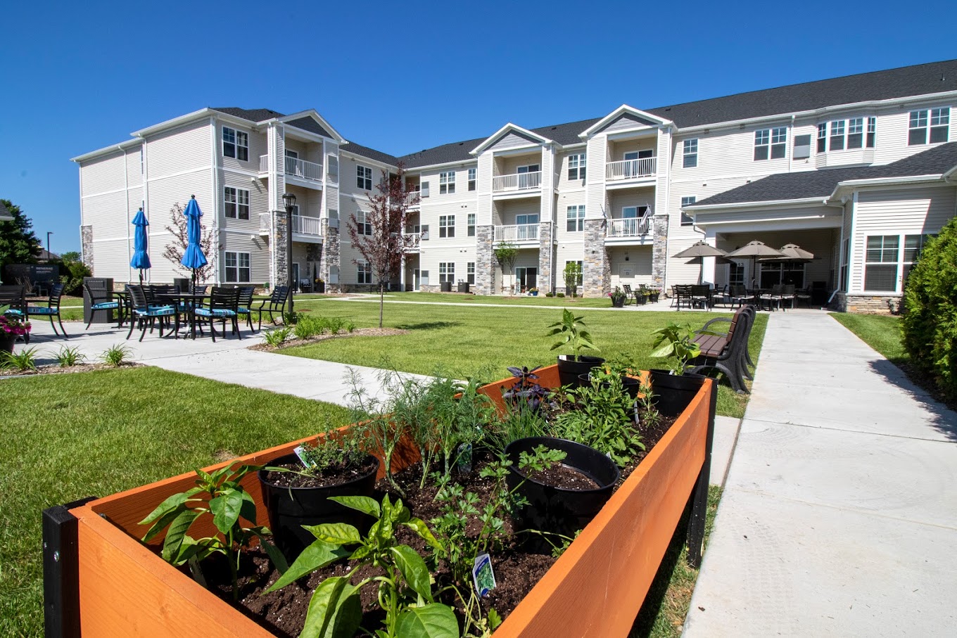 Outdoor garden area with building in background