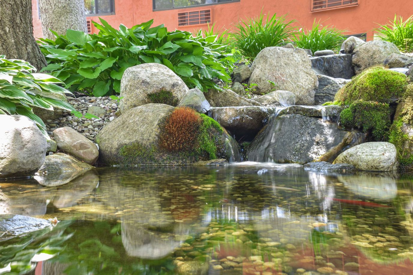 Promenade at Middletown, assisted living in Middletown, NY — Serene pond with rocks and lush green plants