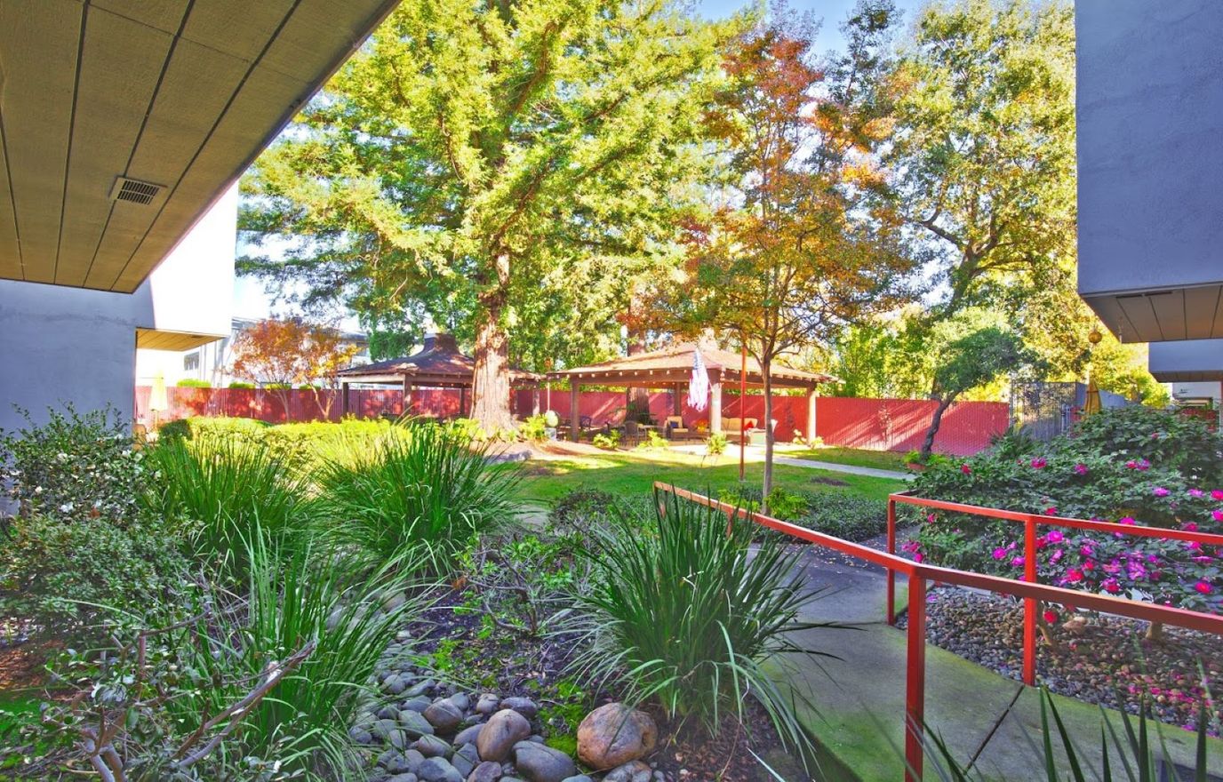 Beautiful outdoor garden area with trees and flowers