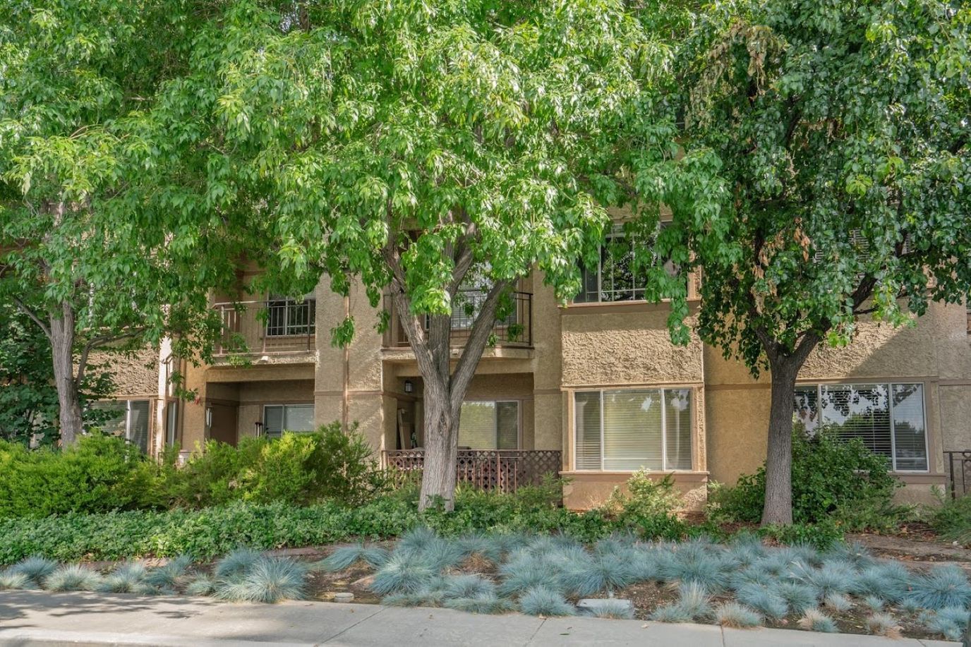 Exterior view of Valley Oaks Village surrounded by greenery