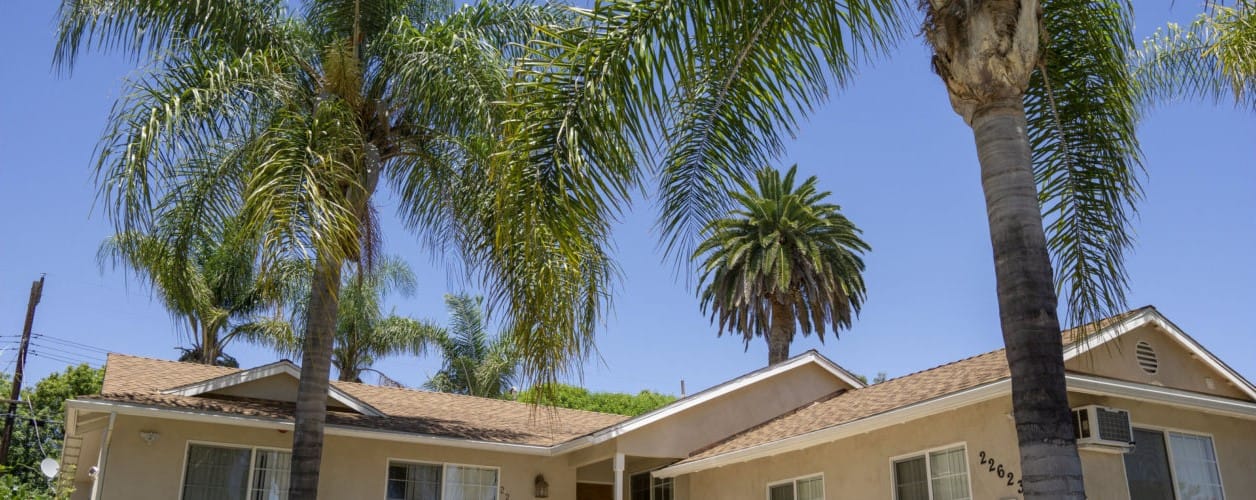Exterior view of a building surrounded by palm trees