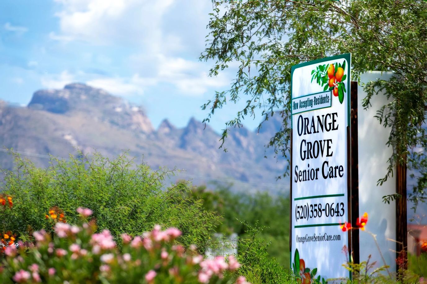 Sign for Orange Grove Senior Care with mountains in the background