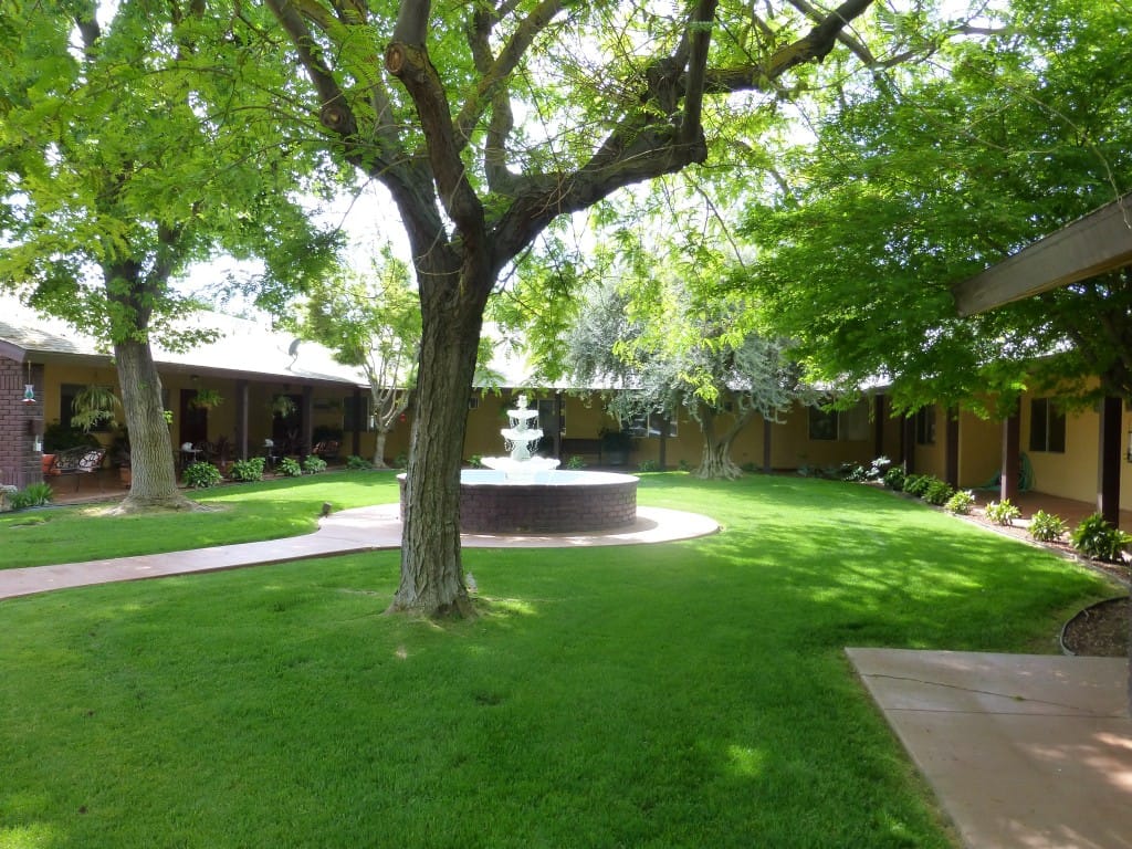 Serene outdoor courtyard with a fountain and greenery