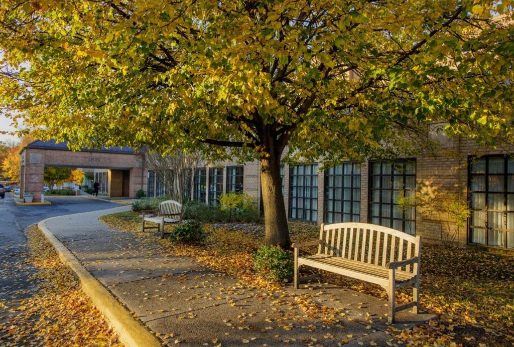Outdoor seating area under a tree with fall leaves