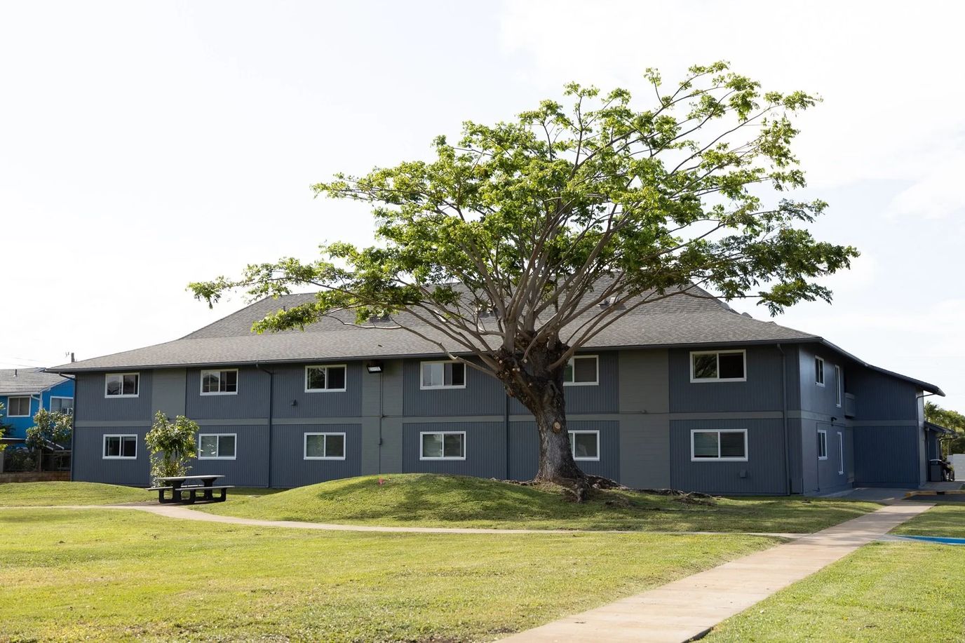 Exterior view of a senior living building with a tree