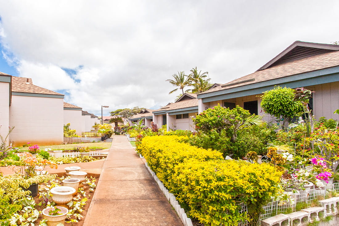Pathway through a garden with building exteriors
