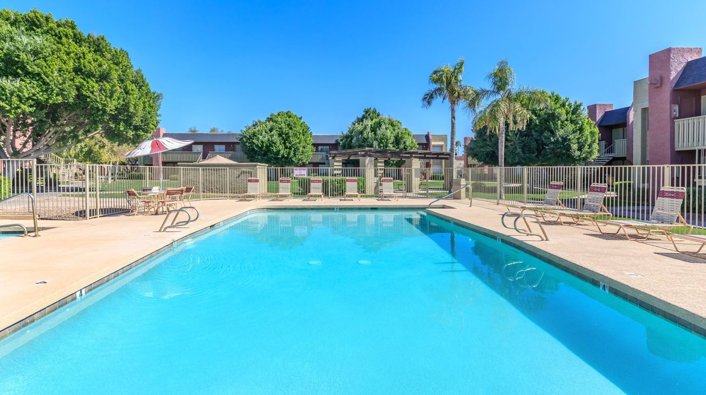 Swimming pool surrounded by lounge chairs and greenery