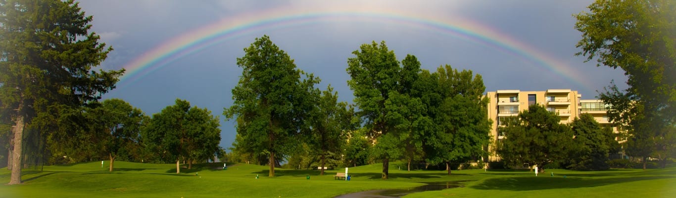 Outdoor view with trees and a building under a rainbow