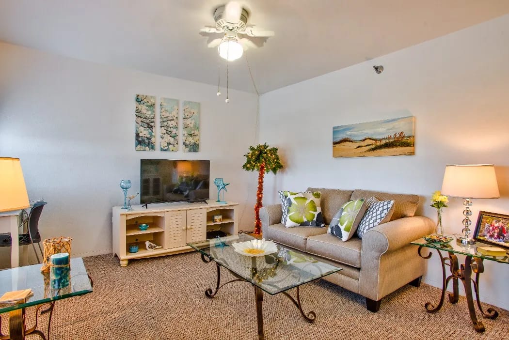 Cozy living room with sofa and decor