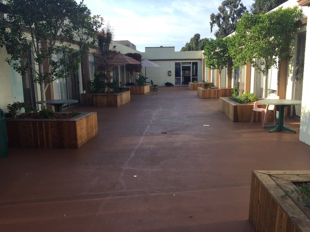 Outdoor space with planters and tables
