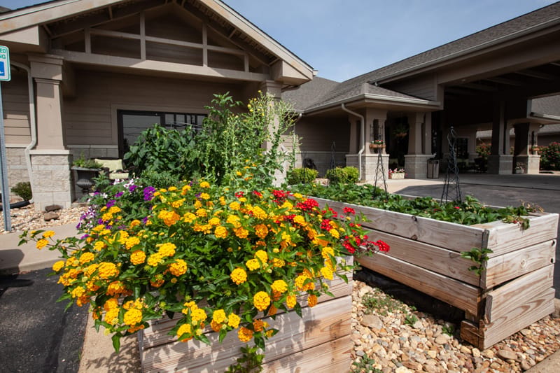 Colorful flowers in raised beds at an entrance