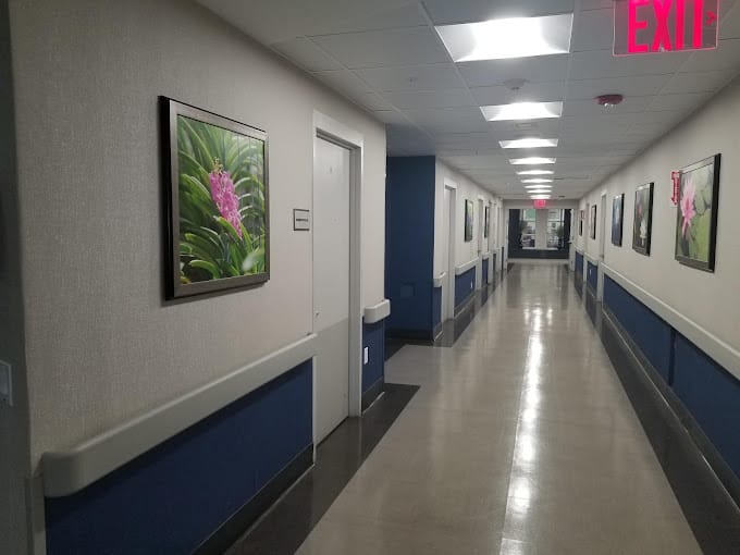 Hallway with floral artwork on the walls