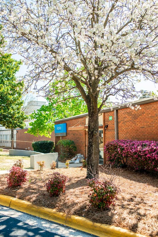 Exterior view of the facility with blooming trees