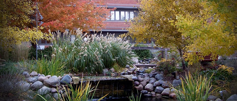 Scenic garden area with colorful autumn foliage