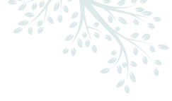 Decorative floral graphic element