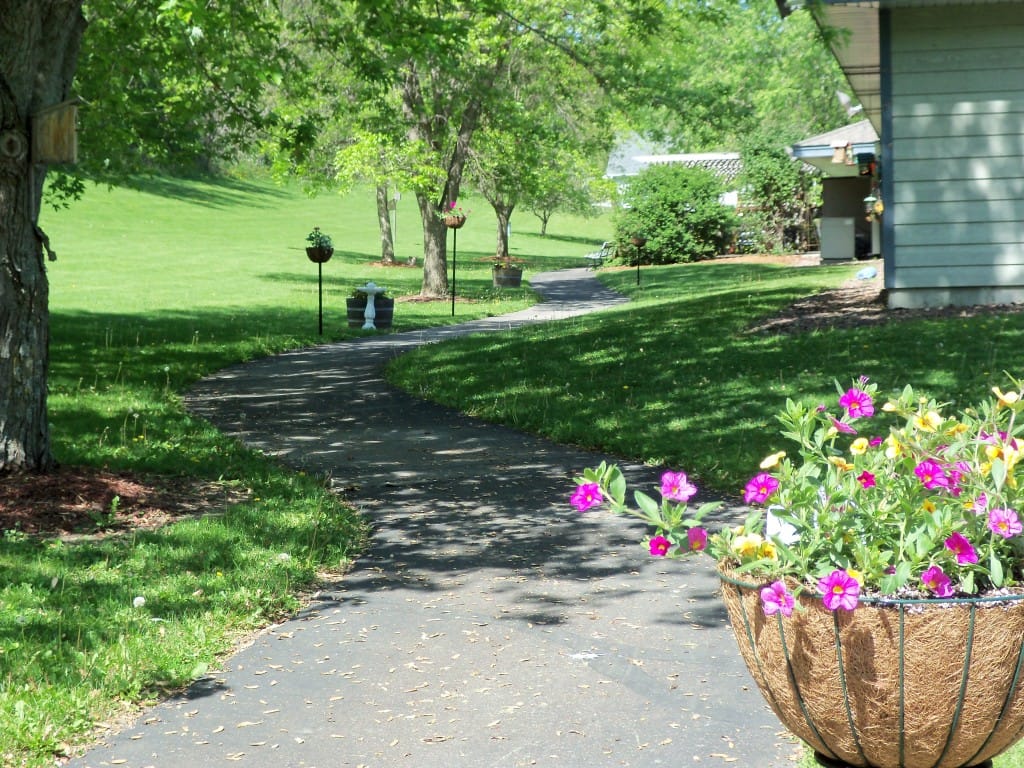 Plum City Care Center, Nursing Home in Plum City, WI — Pathway through a lush green landscape with flowers