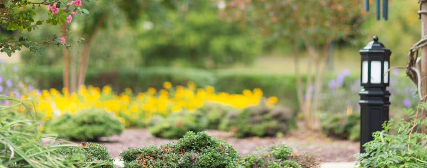 Well-maintained garden with flowers and landscaping