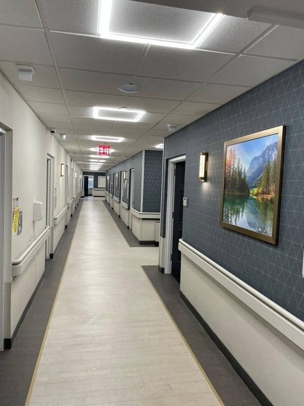 Brightly lit hallway with artwork and plants