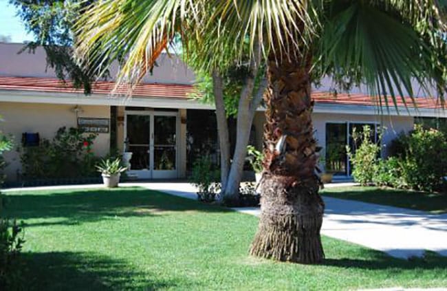Exterior view of Abbey Road Villa with palm trees