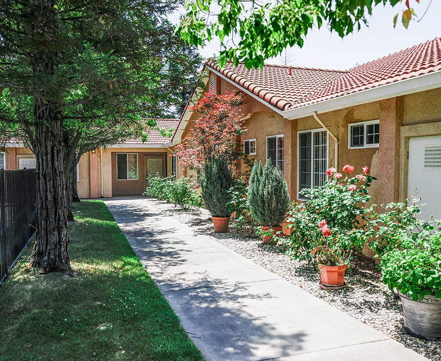 Pathway through landscaped outdoor area with flowers