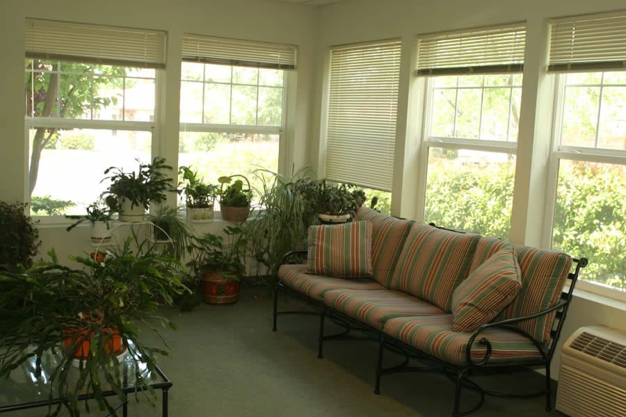 Cozy sunroom with plants and seating
