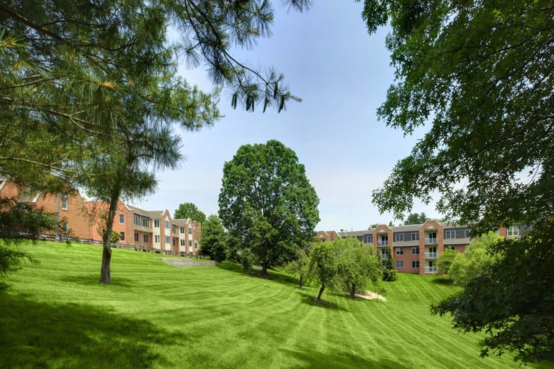 View of the outdoor space at Oakbridge Terrace