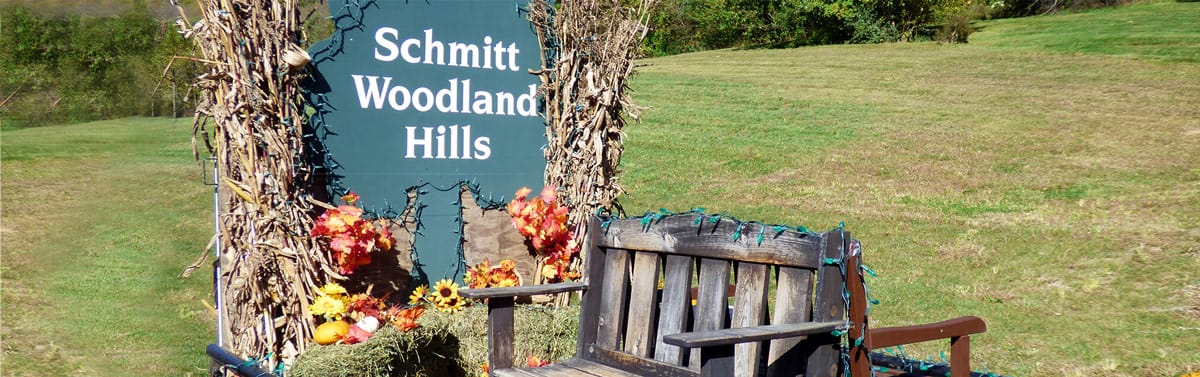 Outdoor sign with a bench and decorative flowers