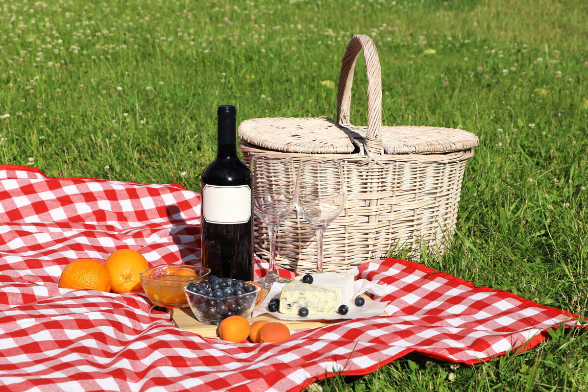 Picnic setup with wine and food on a checkered blanket