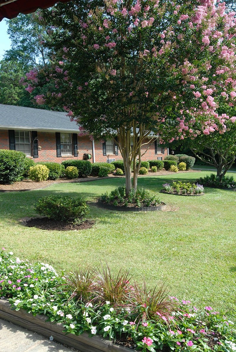 Beautiful landscaping with flowering bushes and grass