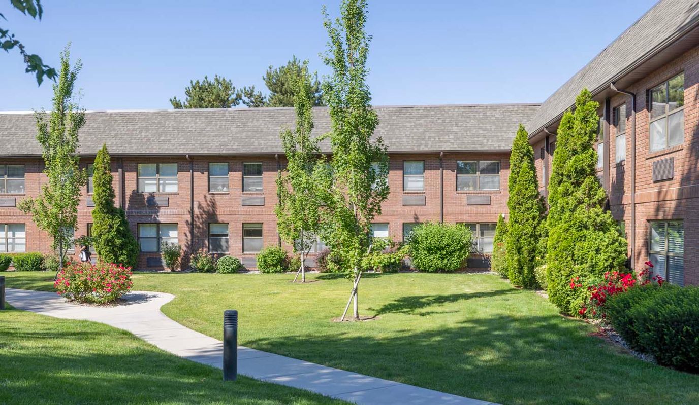 Well-maintained outdoor space with green grass and shrubs