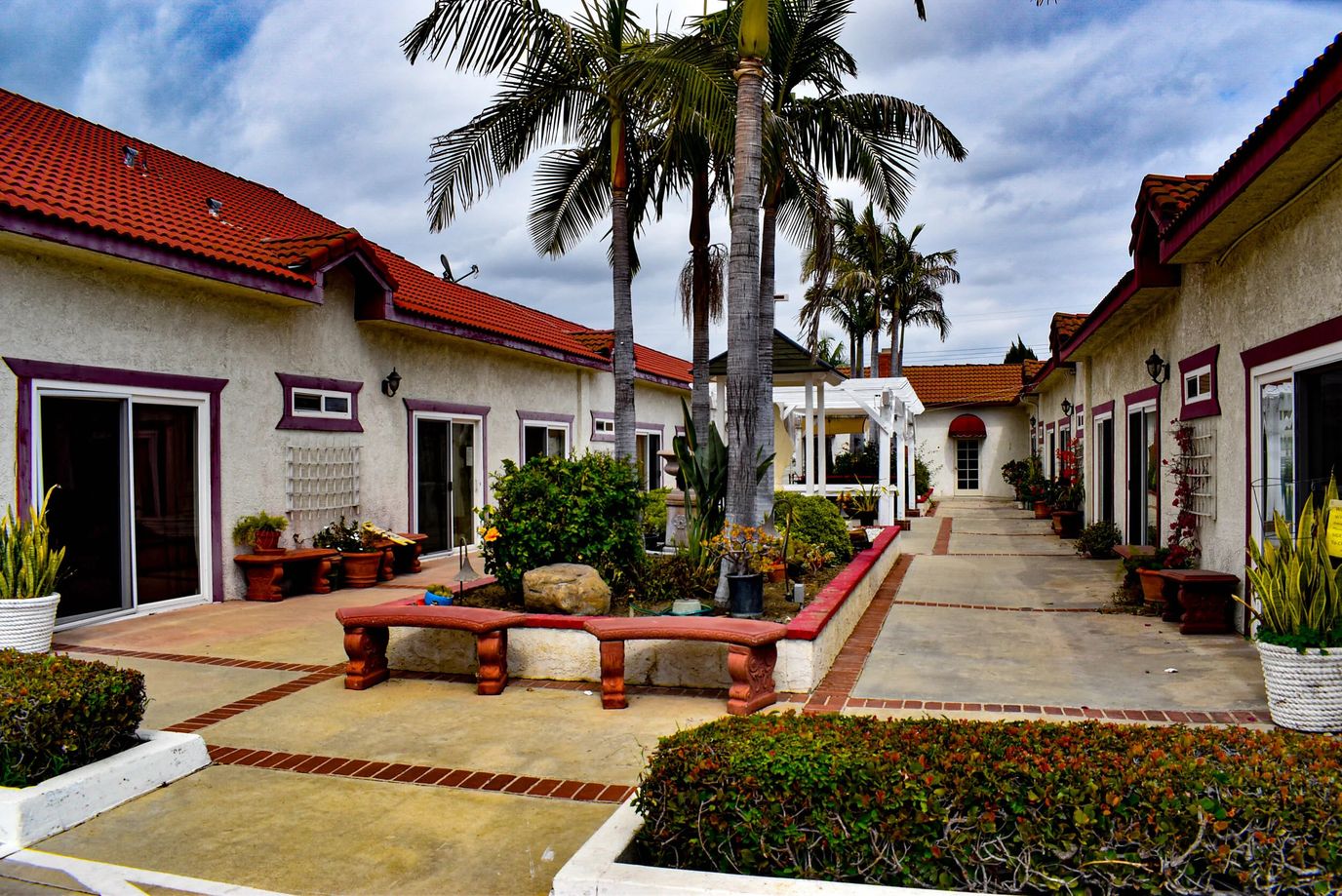 Courtyard with palm trees and pathways