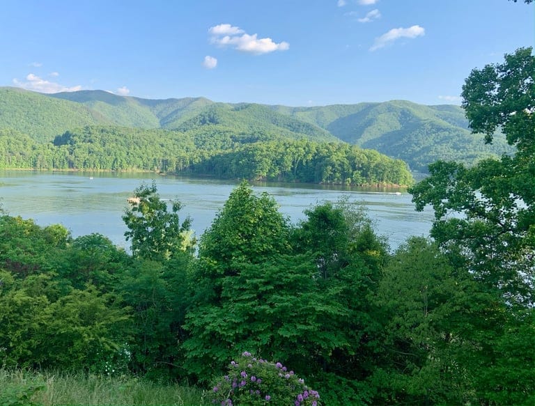 Scenic view of a lush lake surrounded by mountains.