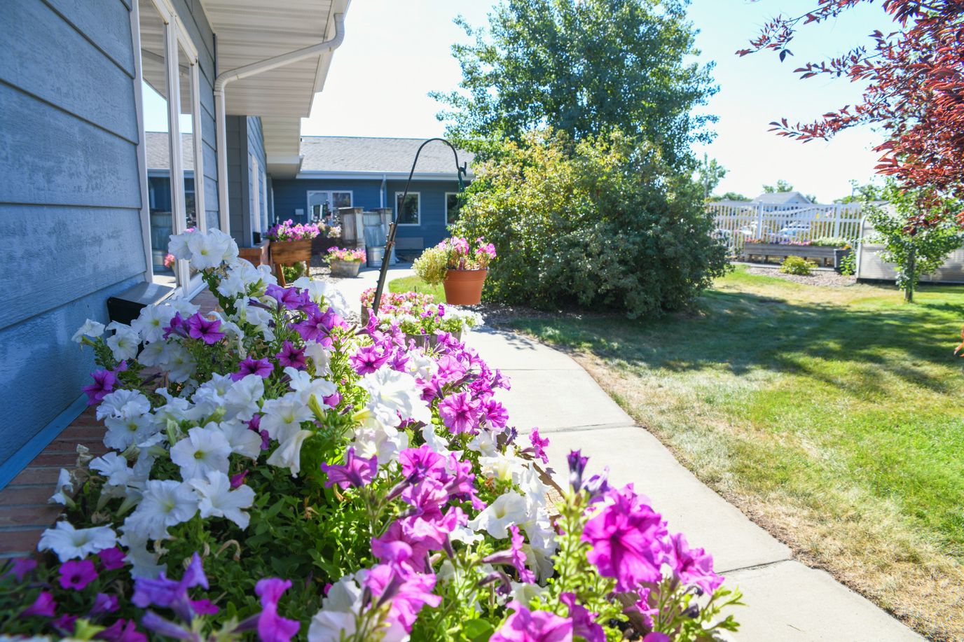 Pathway lined with flowers in a landscaped outdoor area