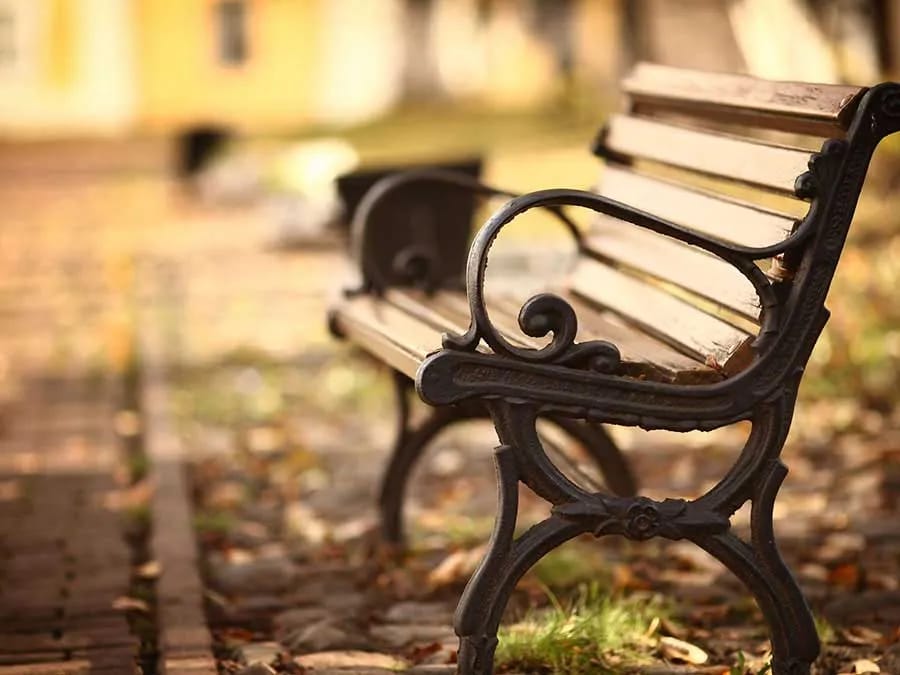 A park bench surrounded by fallen leaves