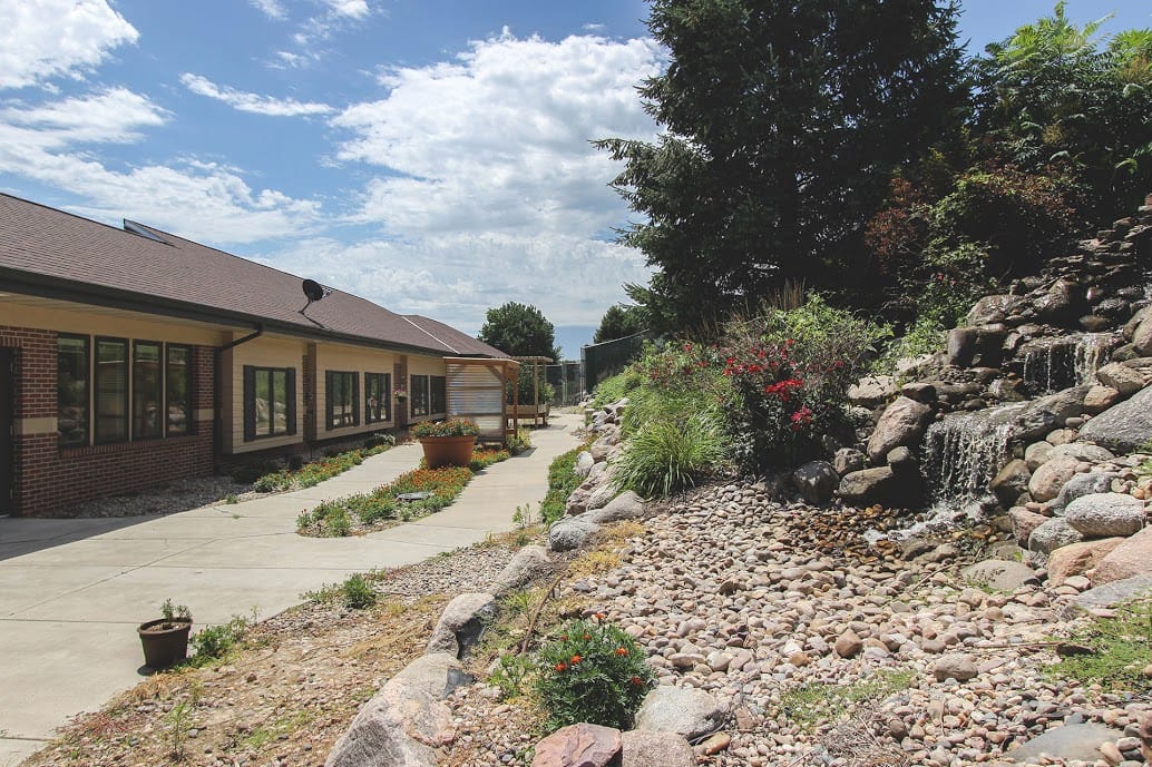 Pathway leading through a landscaped garden with water feature