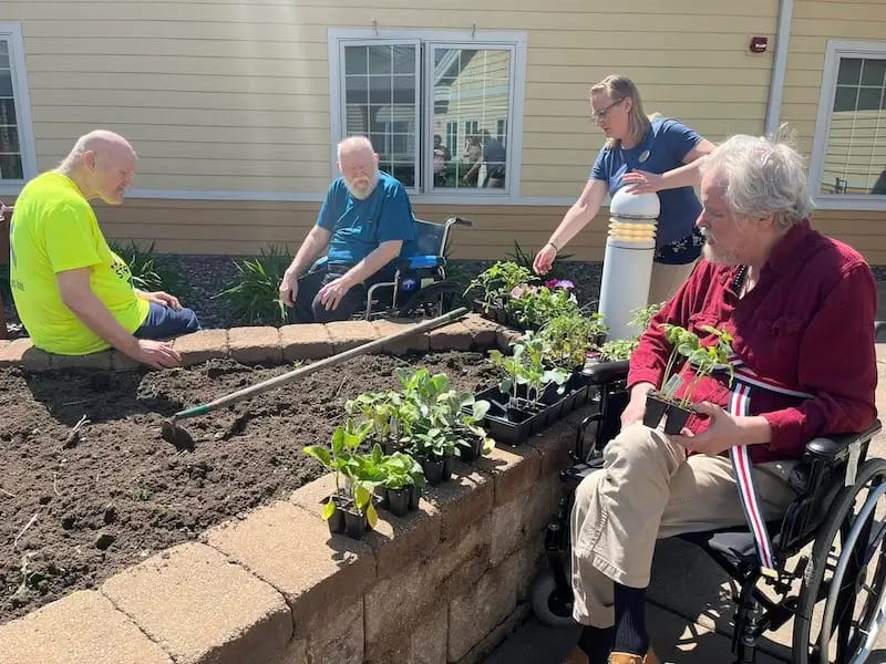 Residents gardening in a raised flower bed