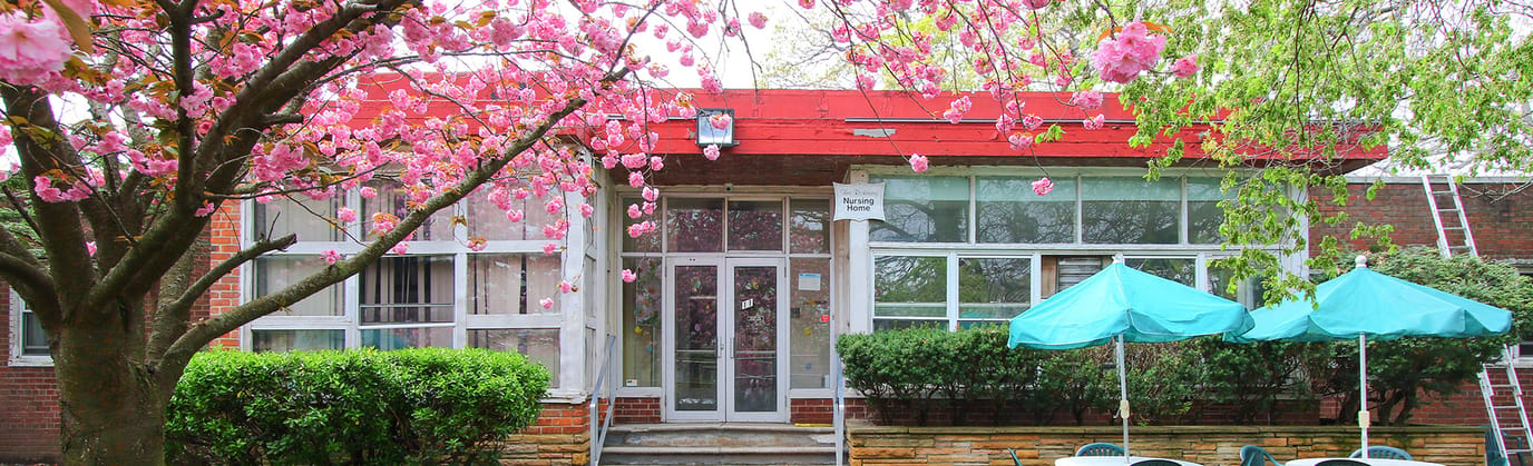 Building exterior with flowering trees and umbrellas
