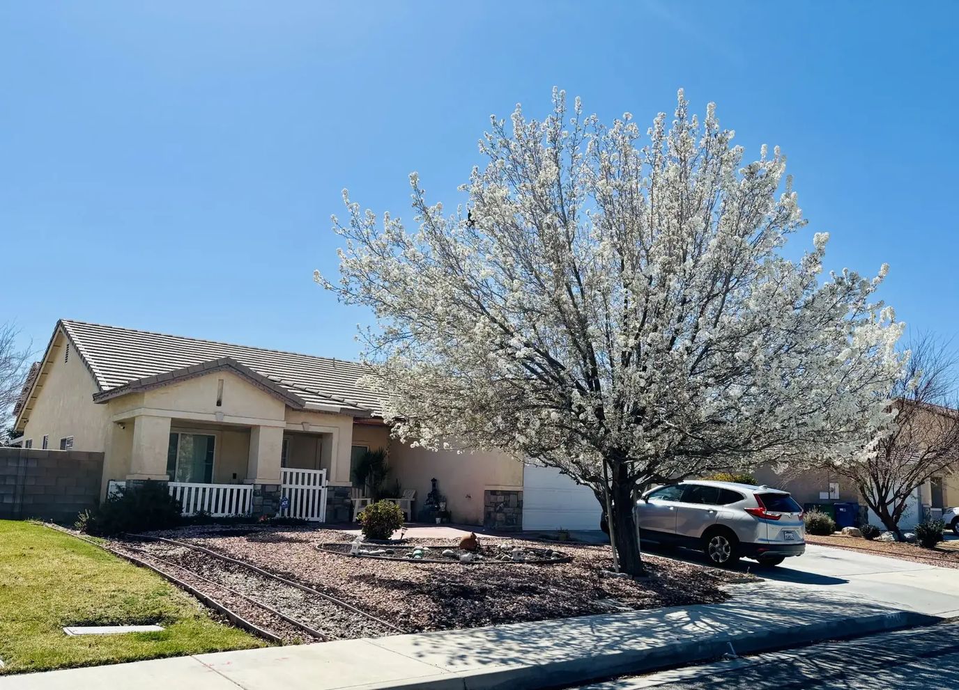 Building exterior with flowering tree and clear sky