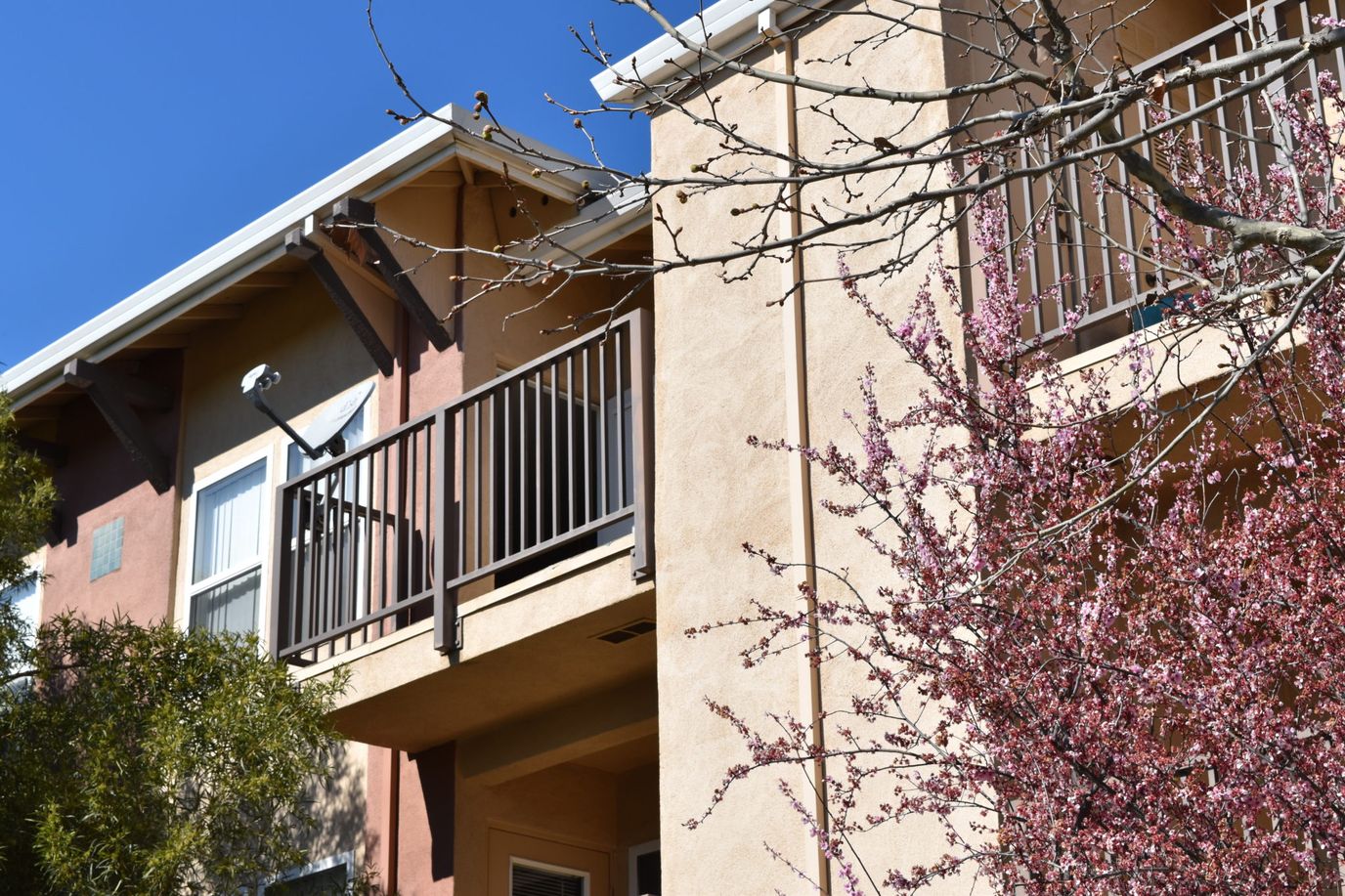 Exterior view of a building with flowers in bloom